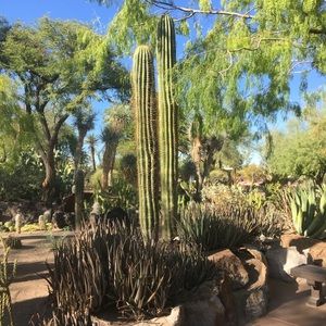 Meet your Posher, Magan